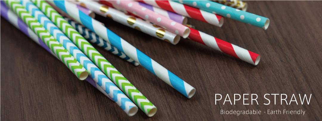Paper Straw